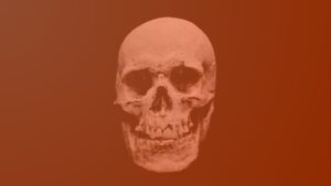 skull png