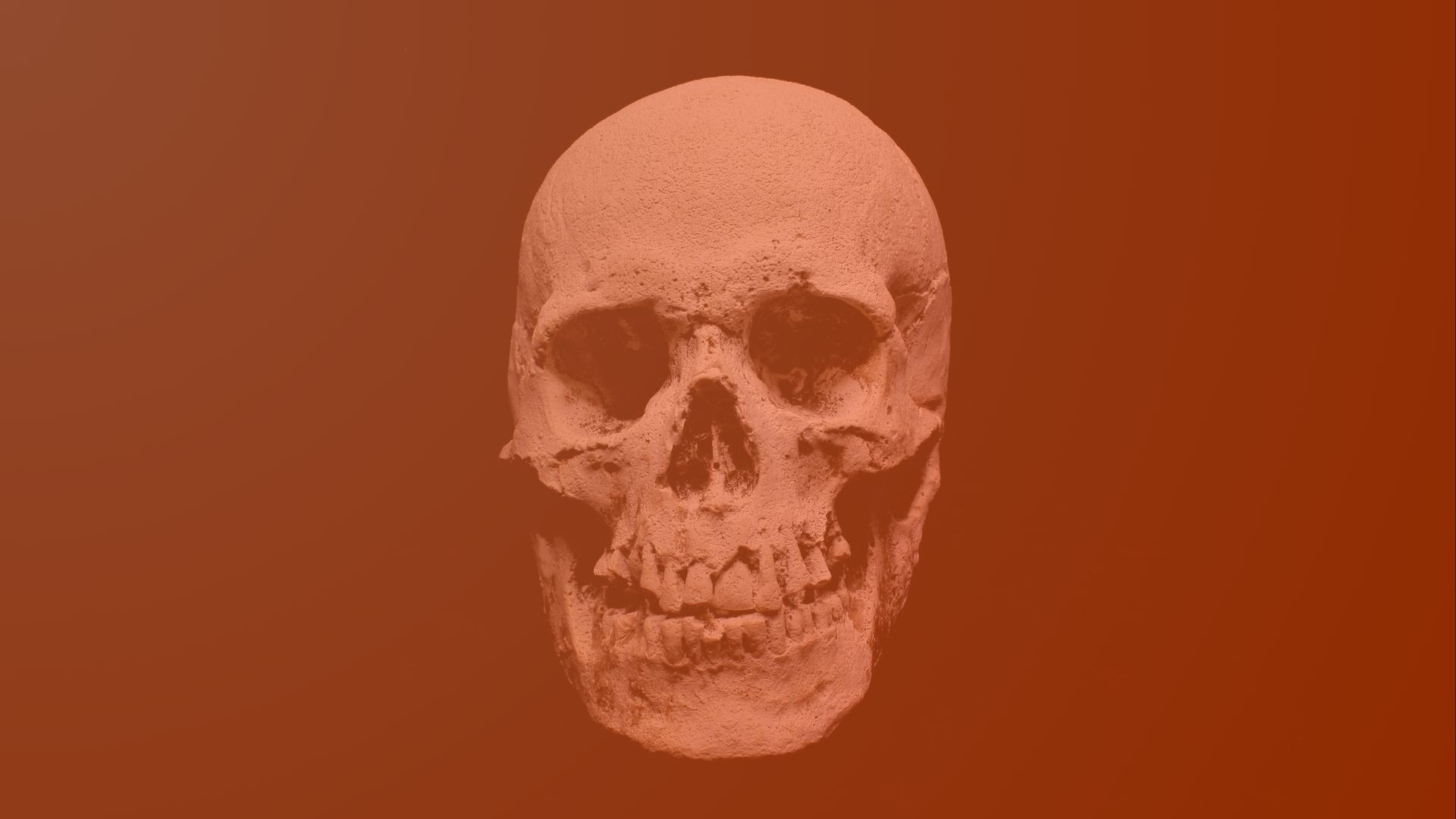 skull png